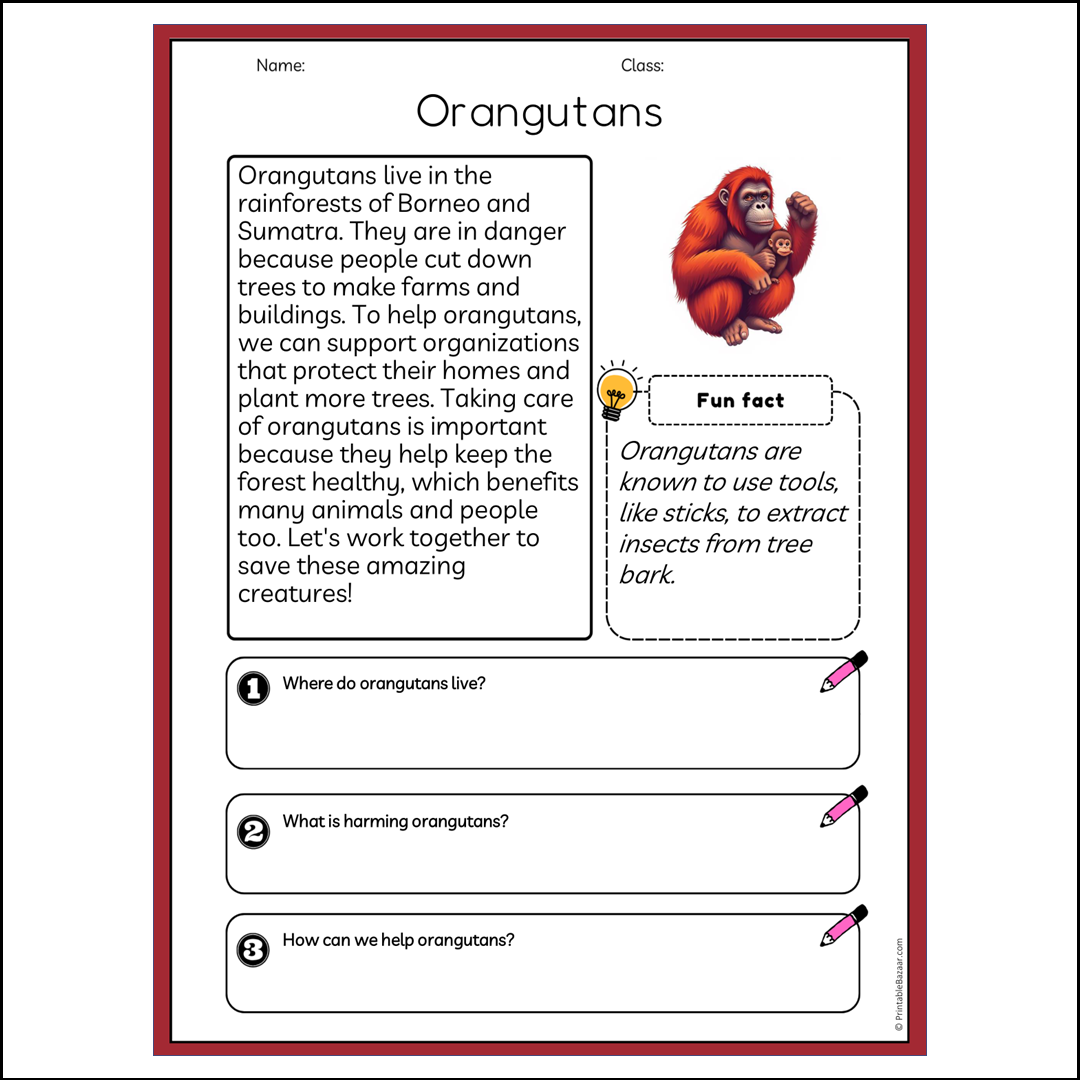 Orangutans | Reading Passage Comprehension Questions Writing Facts Worksheet