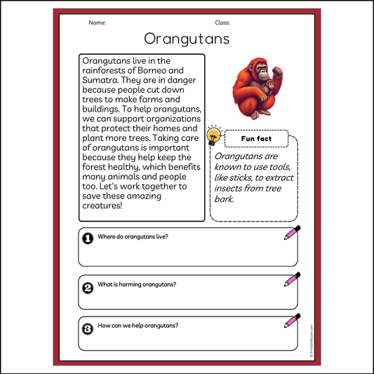 Orangutans | Reading Passage Comprehension Questions Writing Facts Worksheet