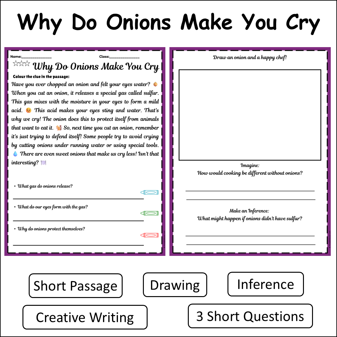 Why Do Onions Make You Cry | Short Reading Comprehension Creative Worksheet