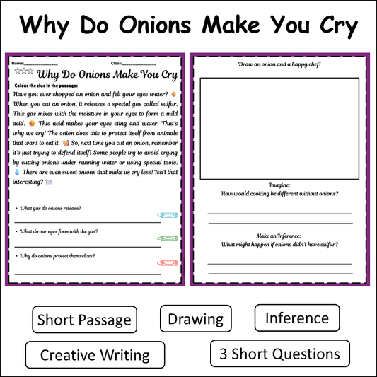 Why Do Onions Make You Cry | Short Reading Comprehension Creative Worksheet