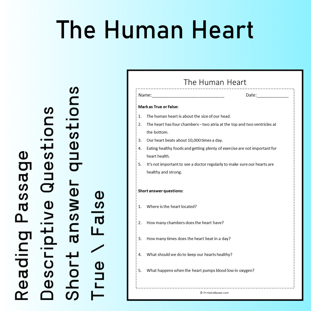 The Human Heart | Reading Comprehension Passage Printable Worksheet