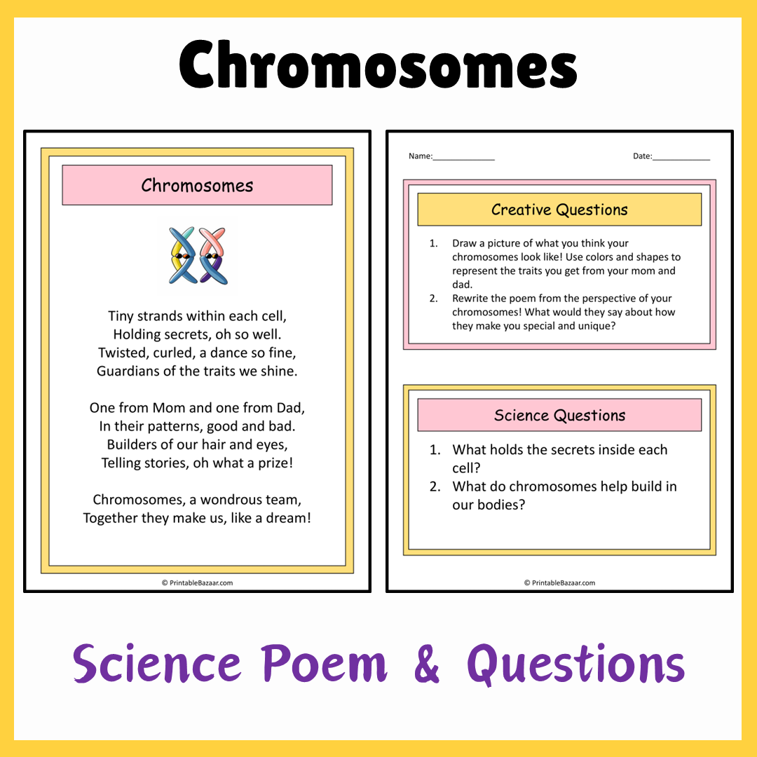 Chromosomes | Science Poem Reading Comprehension Activity