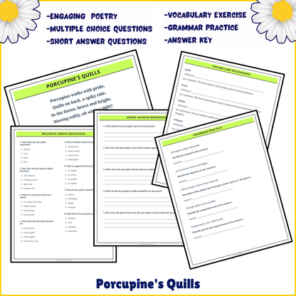 Porcupine's Quills | Poem Grammar Worksheet Printable Activity