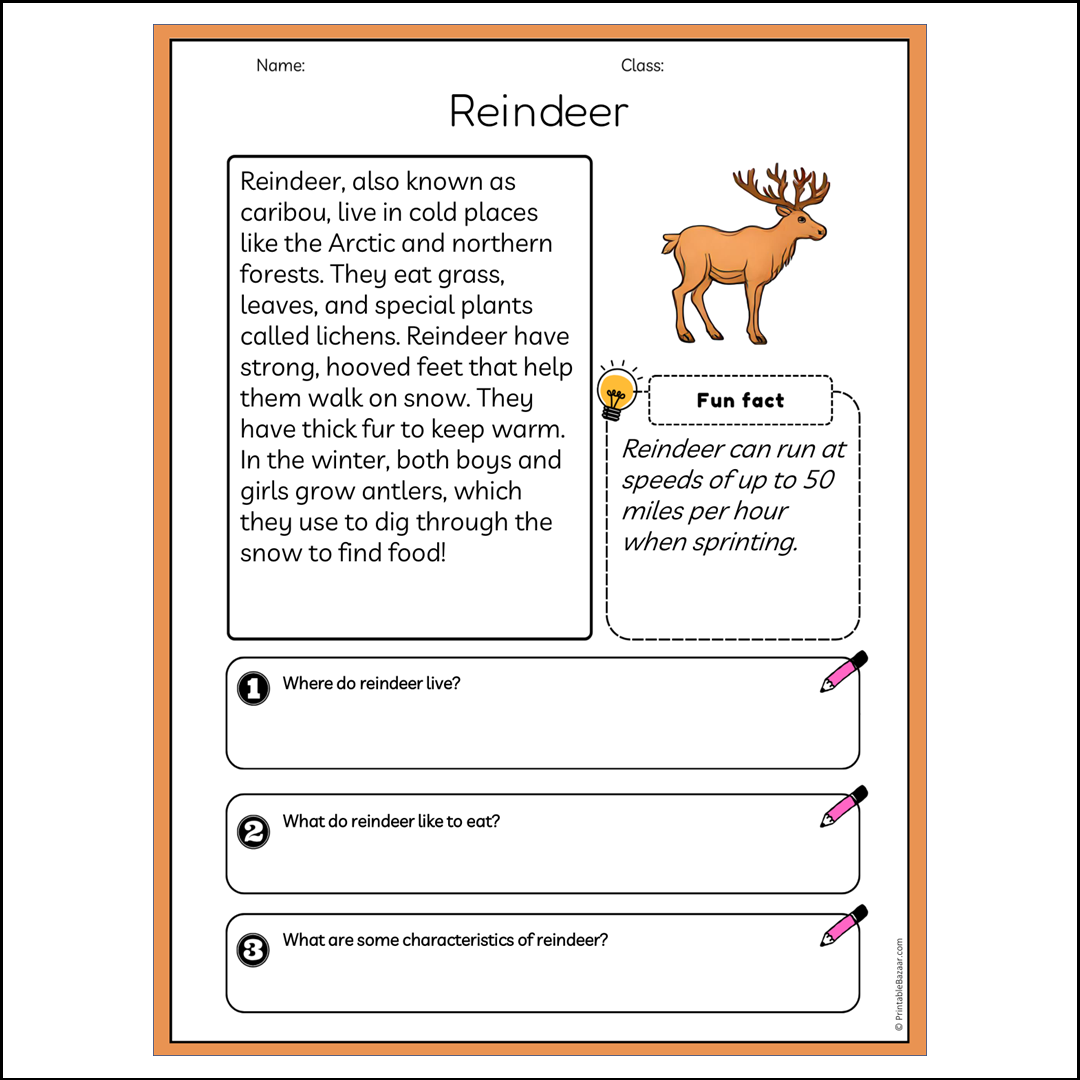 Reindeer | Reading Passage Comprehension Questions Writing Facts Worksheet