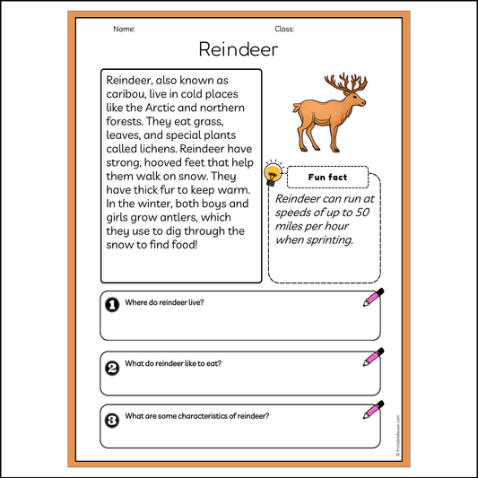 Reindeer | Reading Passage Comprehension Questions Writing Facts Worksheet