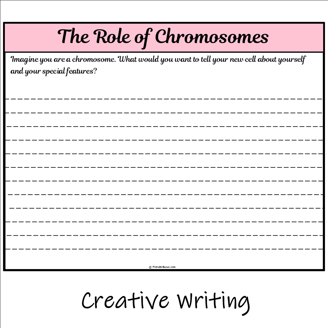 The Role of Chromosomes | Main Idea and Supporting Details Reading Passage and Questions