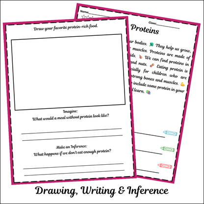 Proteins | Short Reading Comprehension Creative Worksheet