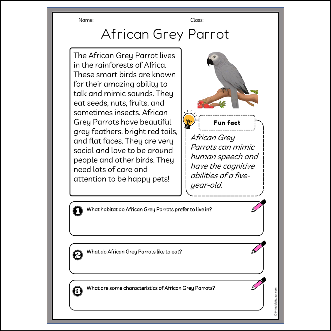 African Grey Parrot | Reading Passage Comprehension Questions Writing Facts Worksheet