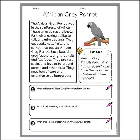 African Grey Parrot | Reading Passage Comprehension Questions Writing Facts Worksheet