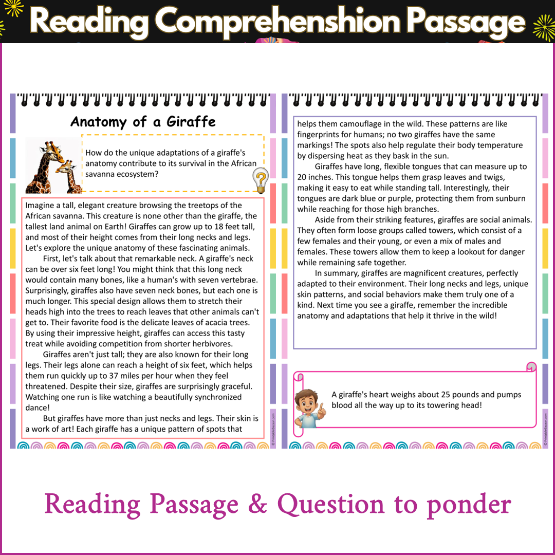 Anatomy of a Giraffe | Reading Comprehension Passage and Questions