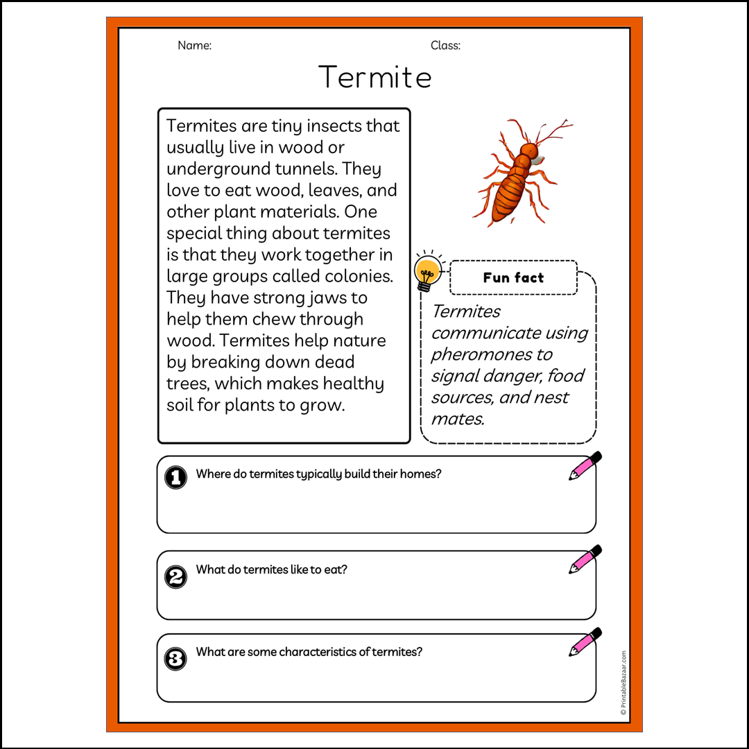 Termite | Reading Passage Comprehension Questions Writing Facts Worksheet