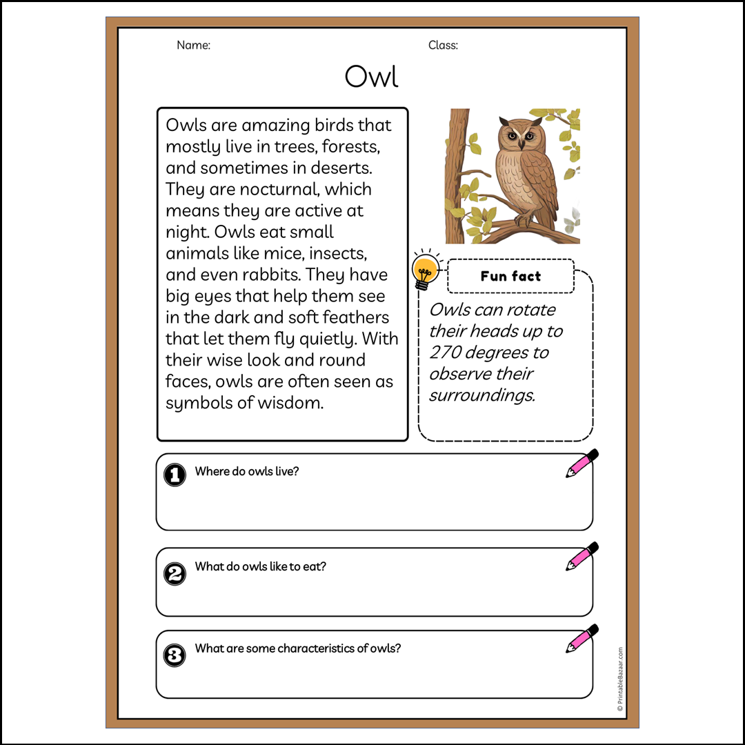 Owl | Reading Passage Comprehension Questions Writing Facts Worksheet