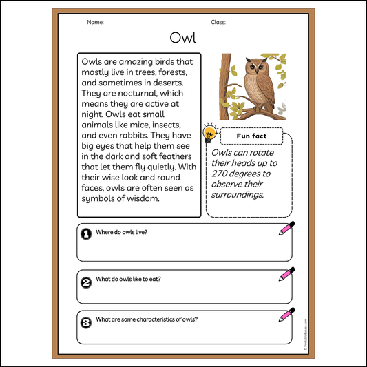 Owl | Reading Passage Comprehension Questions Writing Facts Worksheet