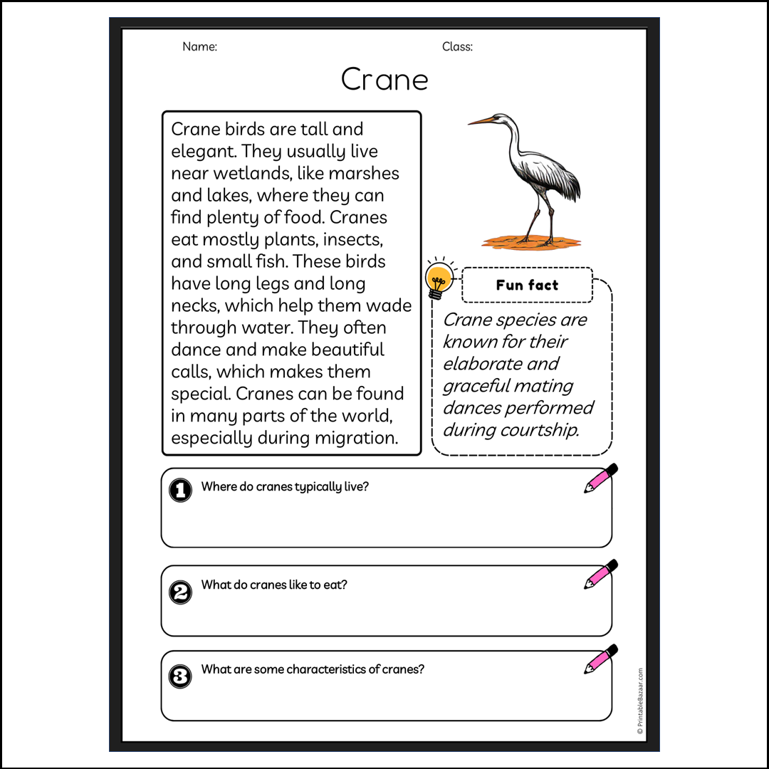 Crane | Reading Passage Comprehension Questions Writing Facts Worksheet