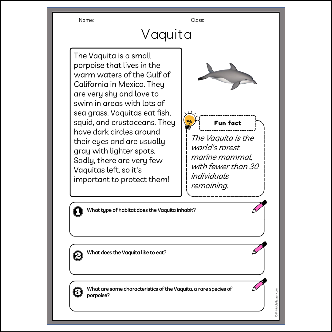 Vaquita | Reading Passage Comprehension Questions Writing Facts Worksheet