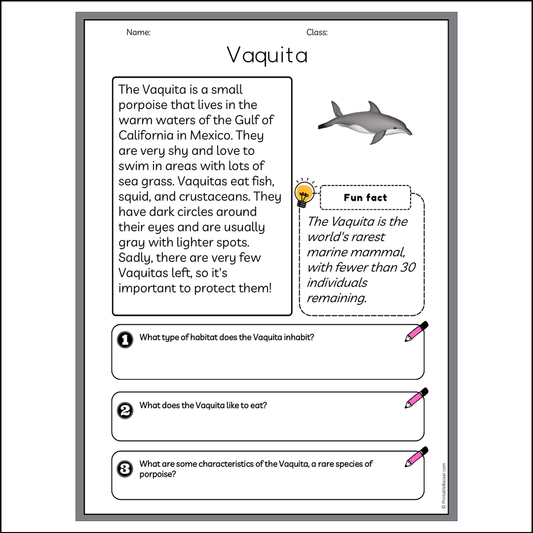 Vaquita | Reading Passage Comprehension Questions Writing Facts Worksheet