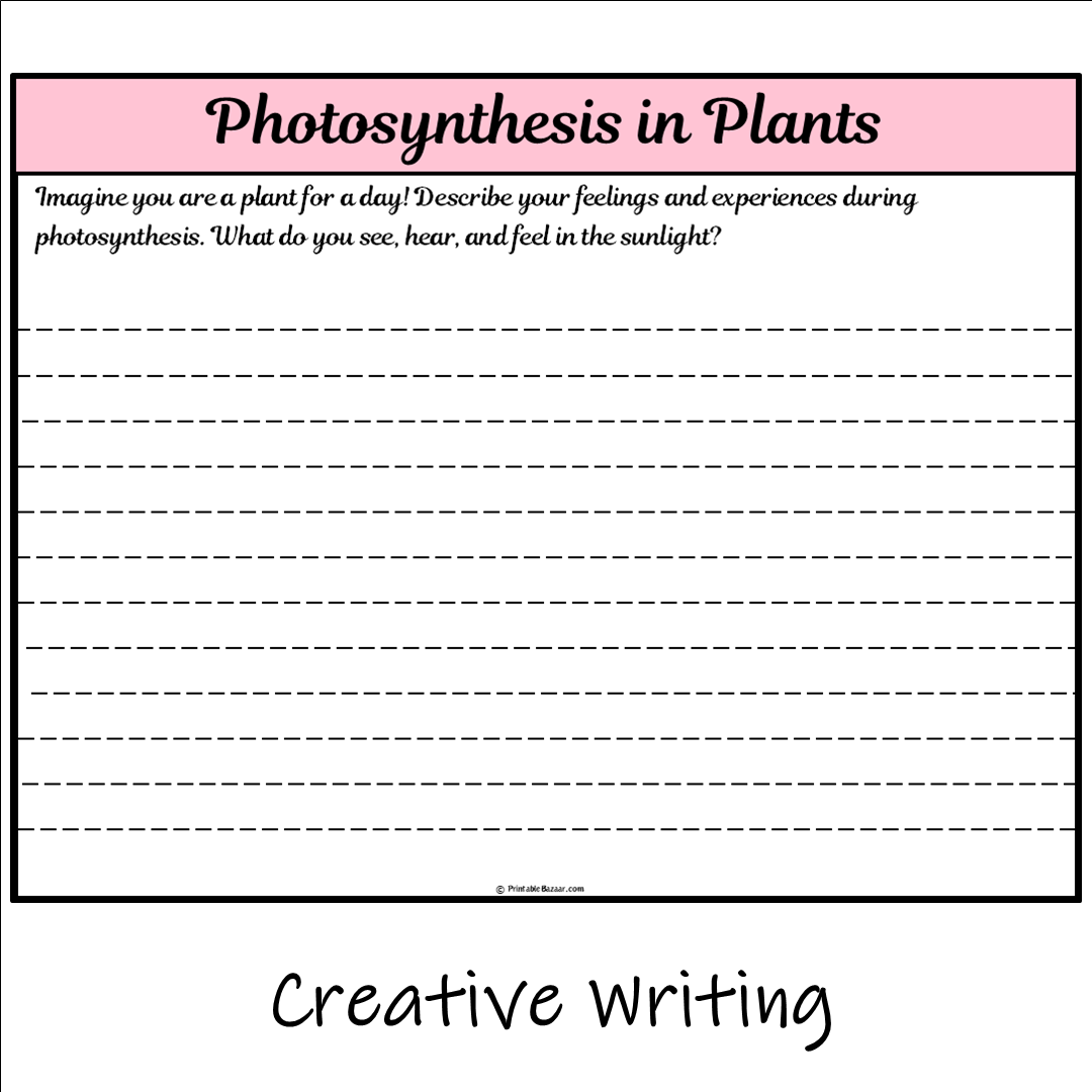 Photosynthesis in Plants | Main Idea and Supporting Details Reading Passage and Questions