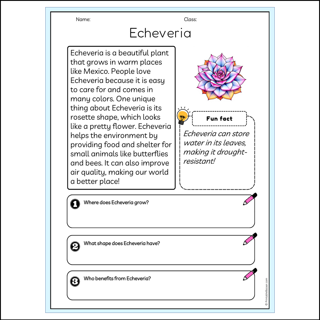 Echeveria | Reading Passage Comprehension Questions Writing Facts Worksheet