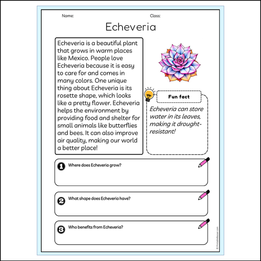 Echeveria | Reading Passage Comprehension Questions Writing Facts Worksheet