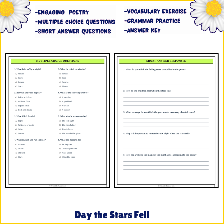 Day the Stars Fell | Poem Grammar Worksheet Printable Activity