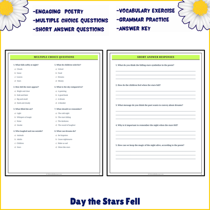 Day the Stars Fell | Poem Grammar Worksheet Printable Activity