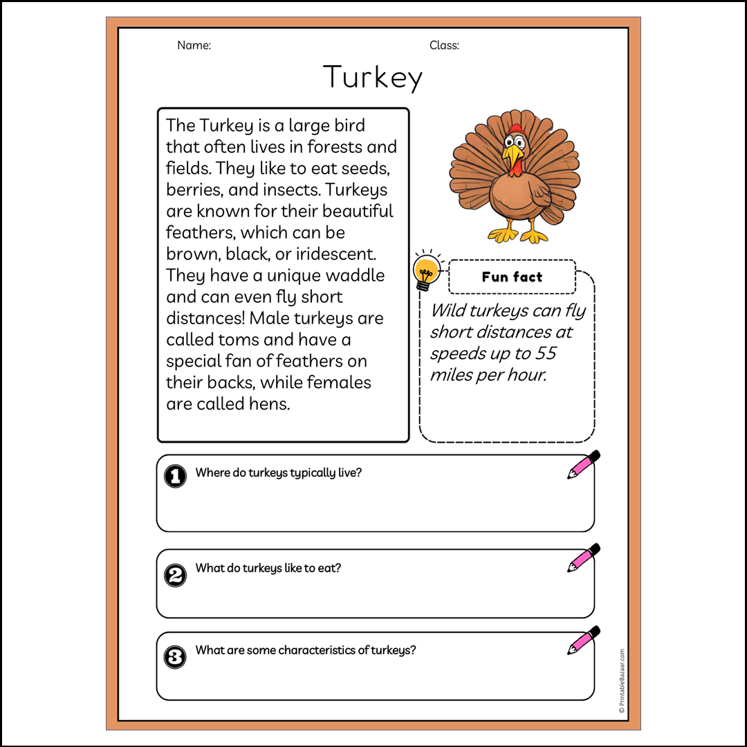 Turkey | Reading Passage Comprehension Questions Writing Facts Worksheet