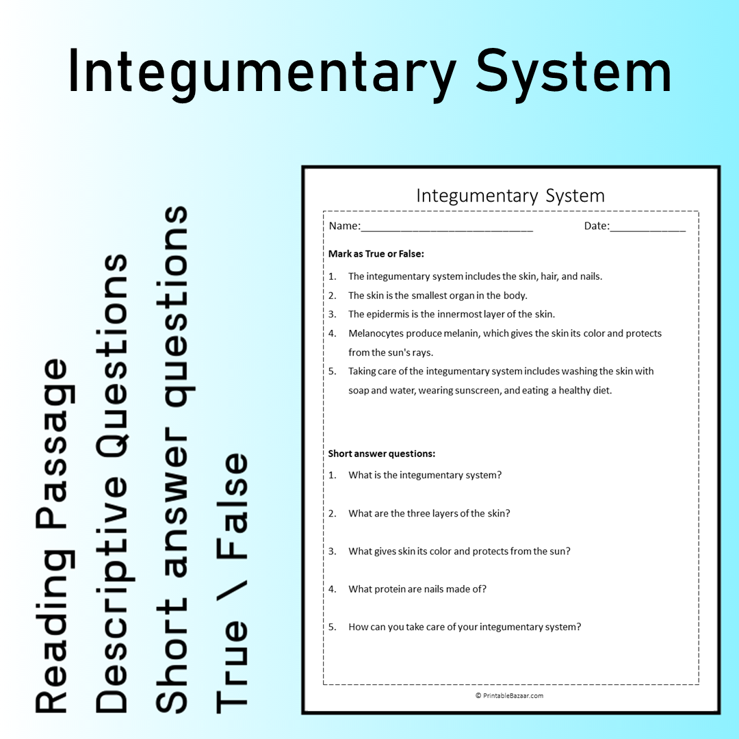 Integumentary System | Reading Comprehension Passage Printable Worksheet