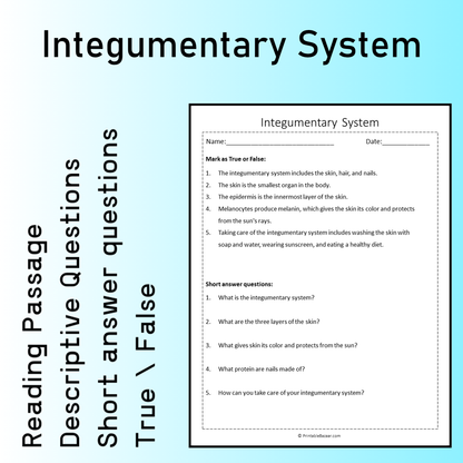 Integumentary System | Reading Comprehension Passage Printable Worksheet