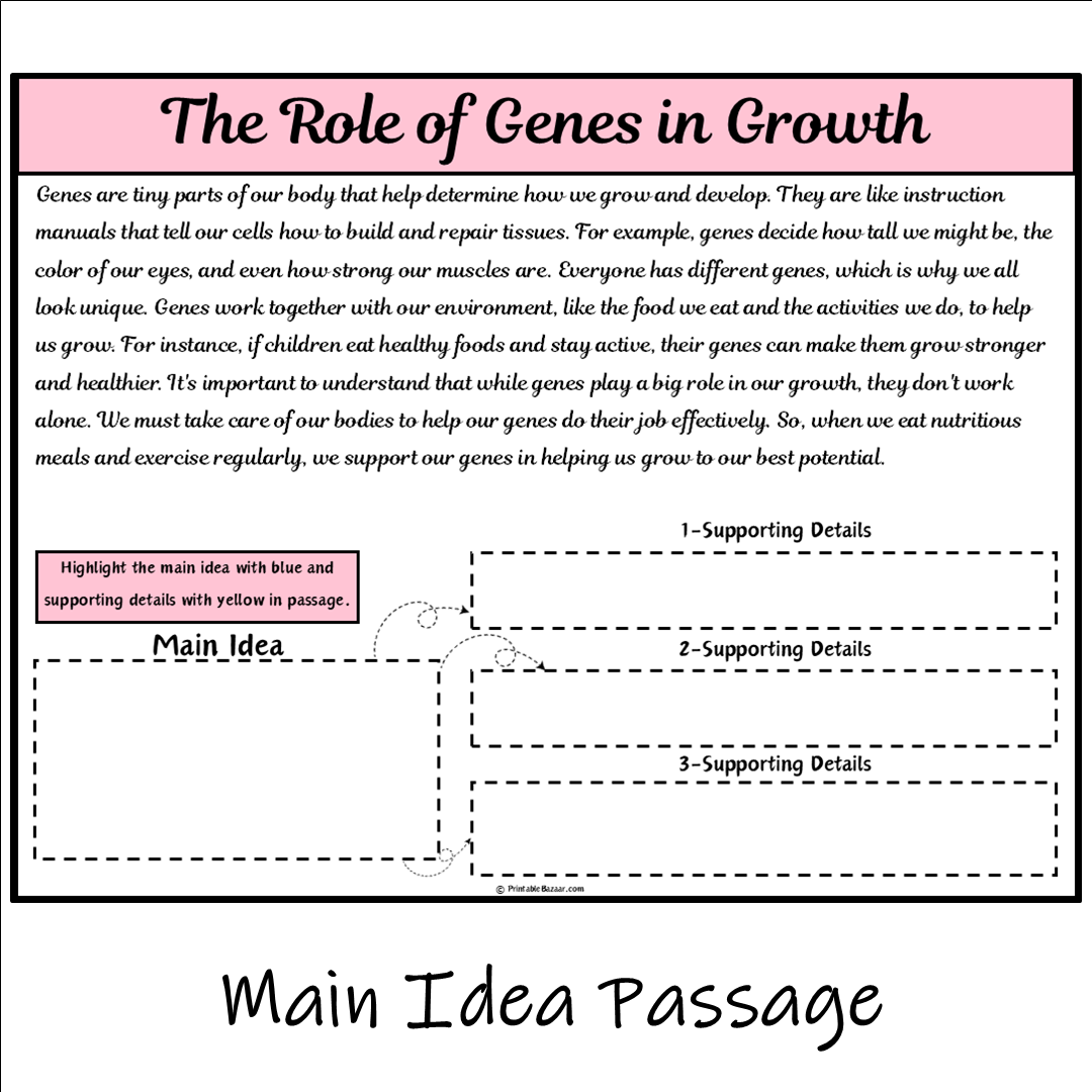 The Role of Genes in Growth | Main Idea and Supporting Details Reading Passage and Questions