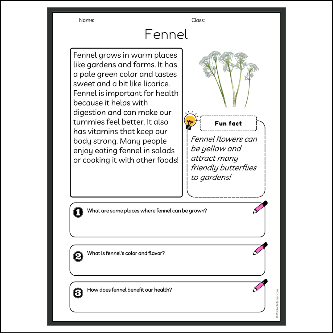 Fennel | Reading Passage Comprehension Questions Writing Facts Worksheet