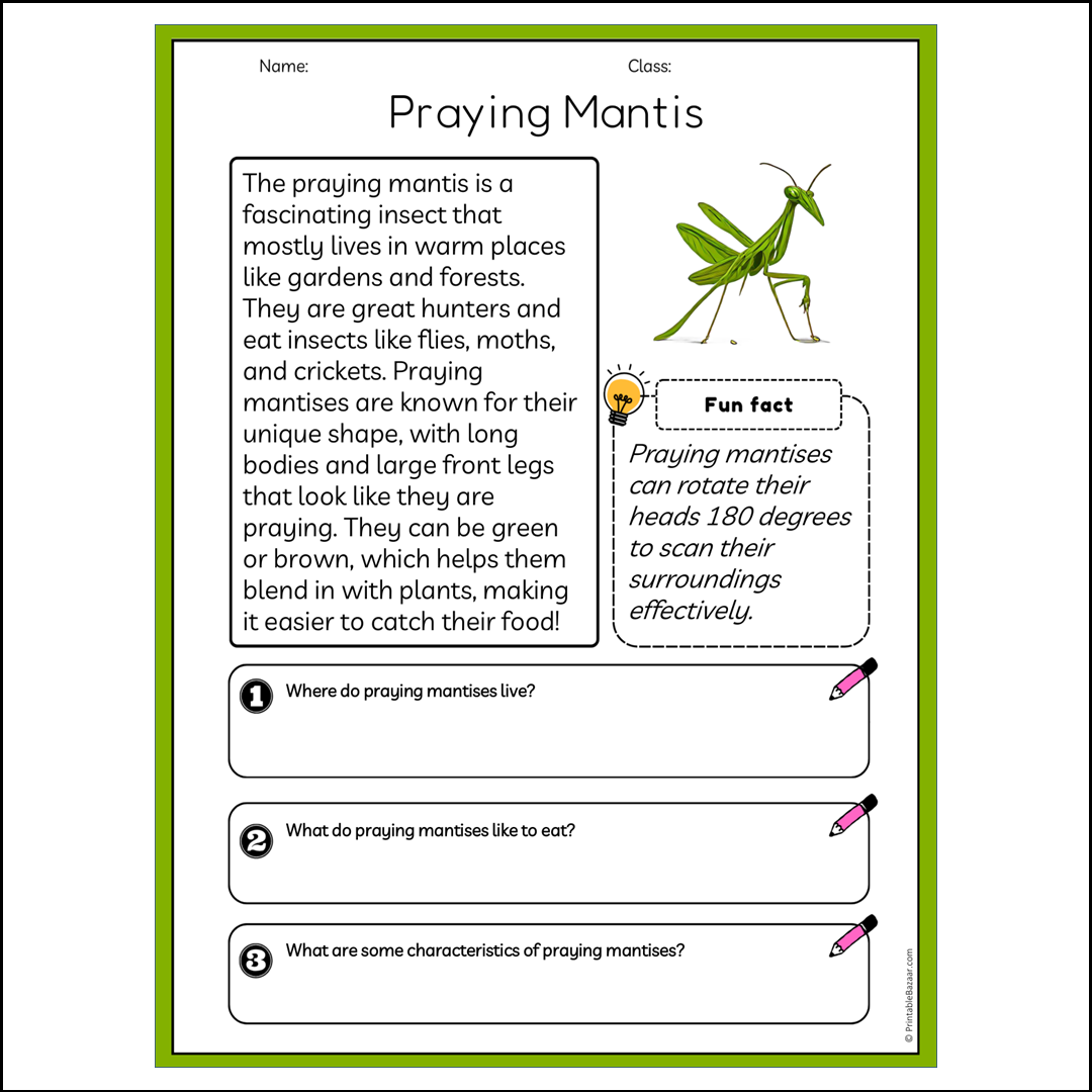 Praying Mantis | Reading Passage Comprehension Questions Writing Facts Worksheet