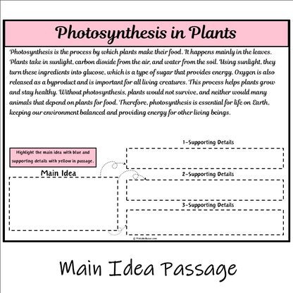 Photosynthesis in Plants | Main Idea and Supporting Details Reading Passage and Questions