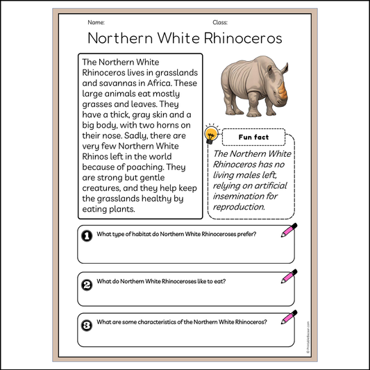 Northern White Rhinoceros | Reading Passage Comprehension Questions Writing Facts Worksheet