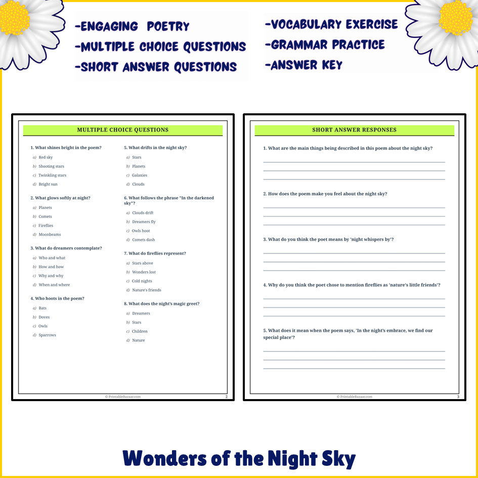 Wonders of the Night Sky | Poem Grammar Worksheet Printable Activity