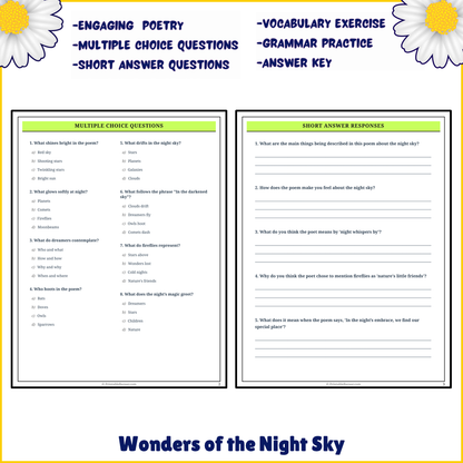 Wonders of the Night Sky | Poem Grammar Worksheet Printable Activity