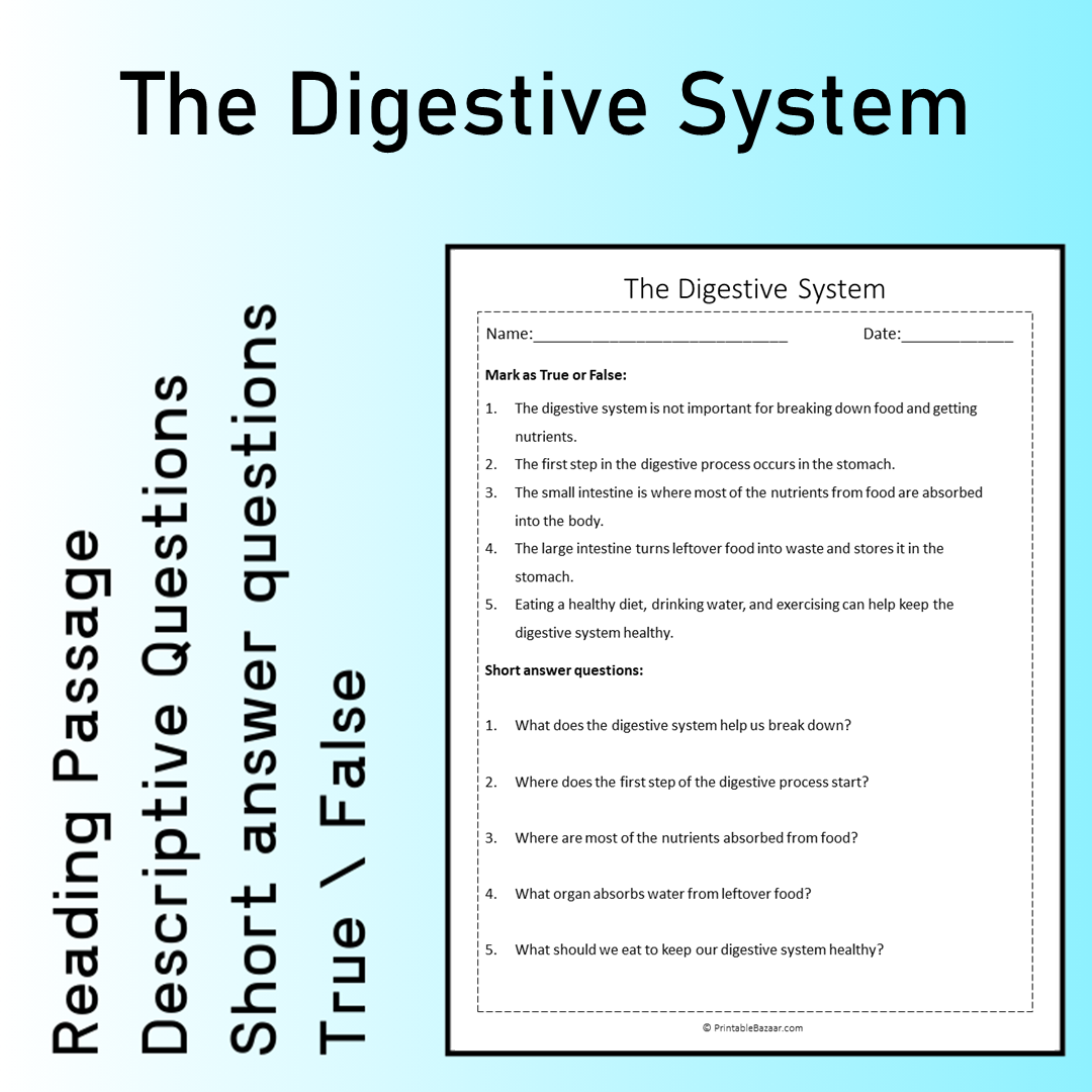 The Digestive System | Reading Comprehension Passage Printable Worksheet