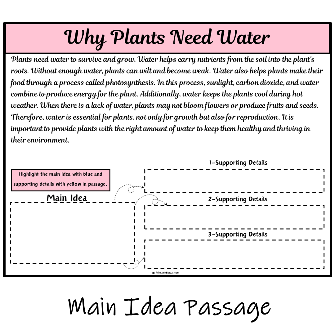 Why Plants Need Water | Main Idea and Supporting Details Reading Passage and Questions