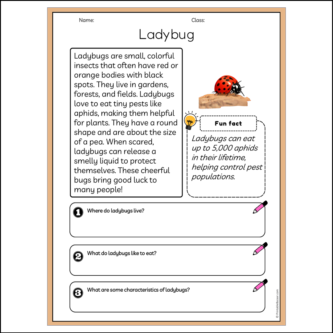 Ladybug | Reading Passage Comprehension Questions Writing Facts Worksheet