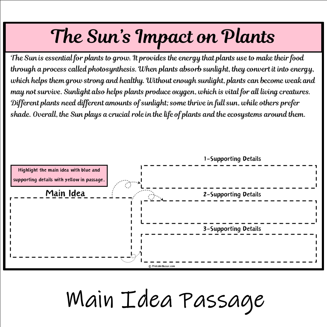 The Sun’s Impact on Plants | Main Idea and Supporting Details Reading Passage and Questions