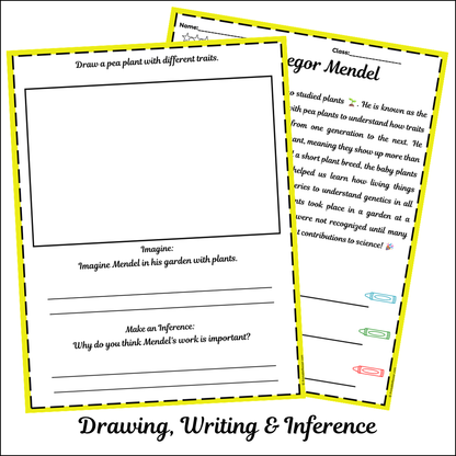 Gregor Mendel | Short Reading Comprehension Creative Worksheet
