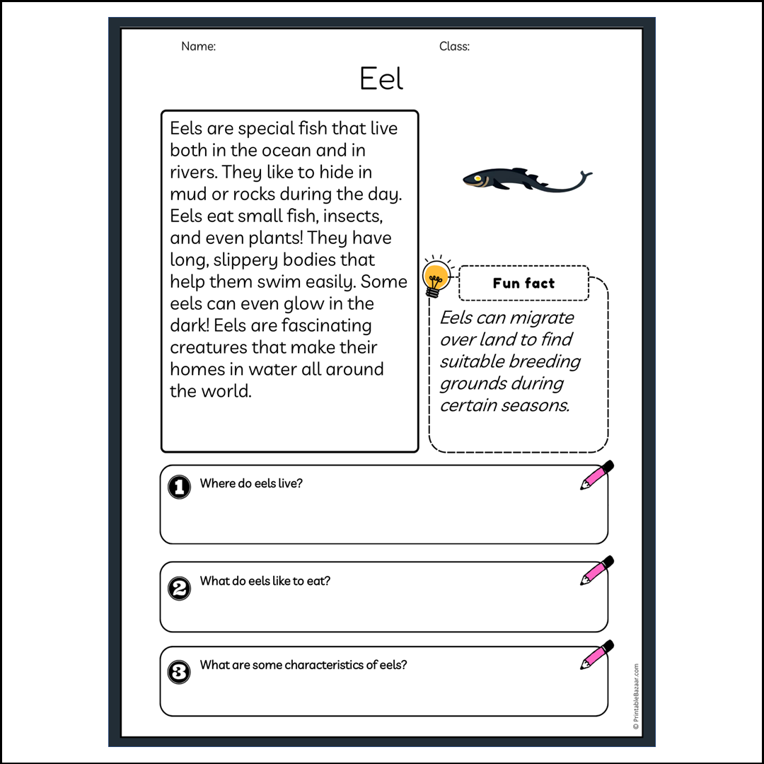 Eel | Reading Passage Comprehension Questions Writing Facts Worksheet