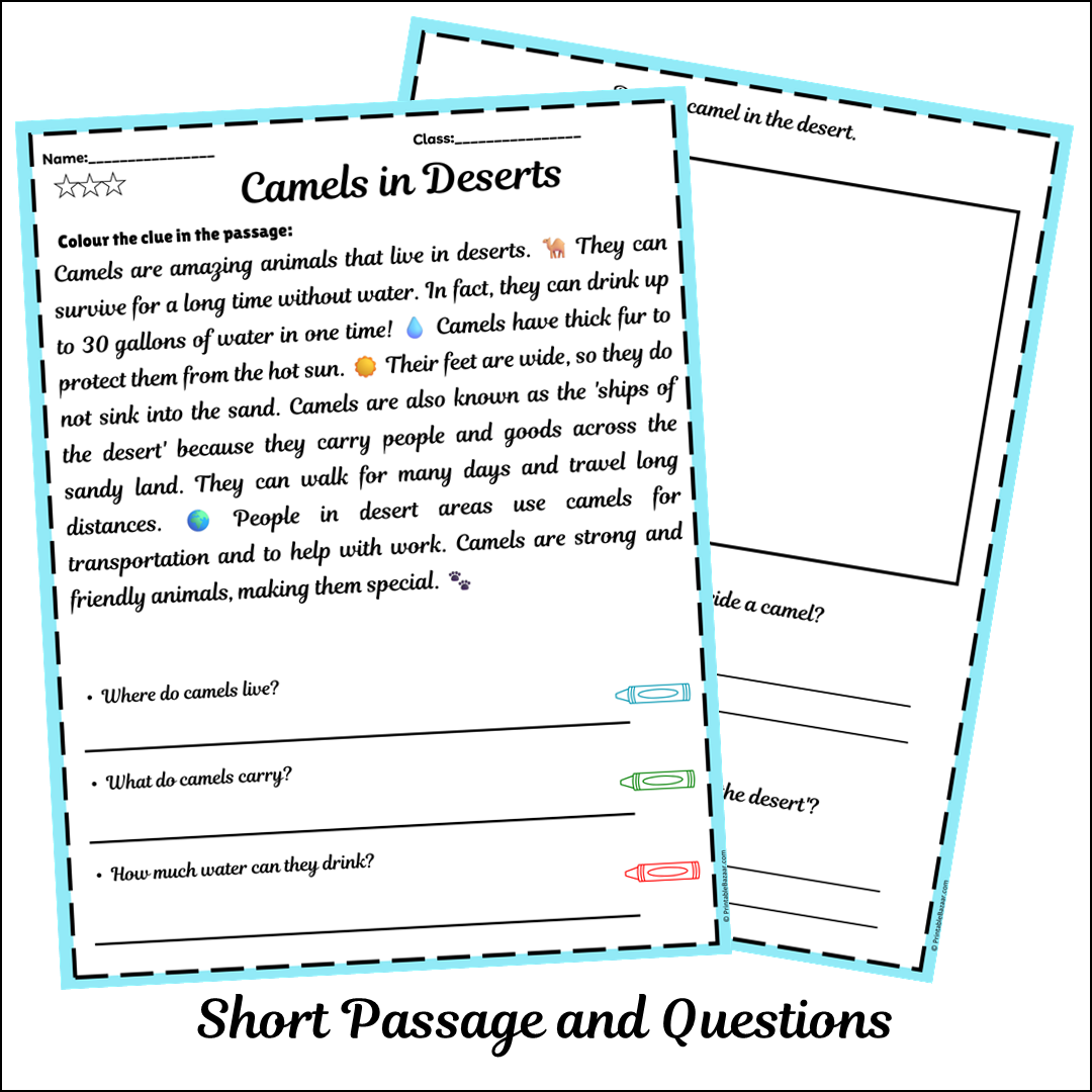 Camels in Deserts | Short Reading Comprehension Creative Worksheet