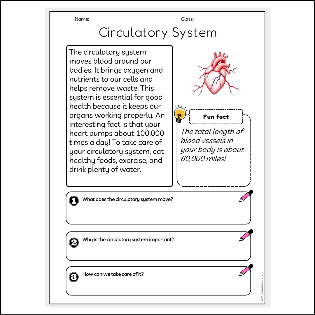 Circulatory System | Reading Passage Comprehension Questions Writing Facts Worksheet