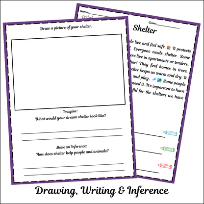 Shelter | Short Reading Comprehension Creative Worksheet