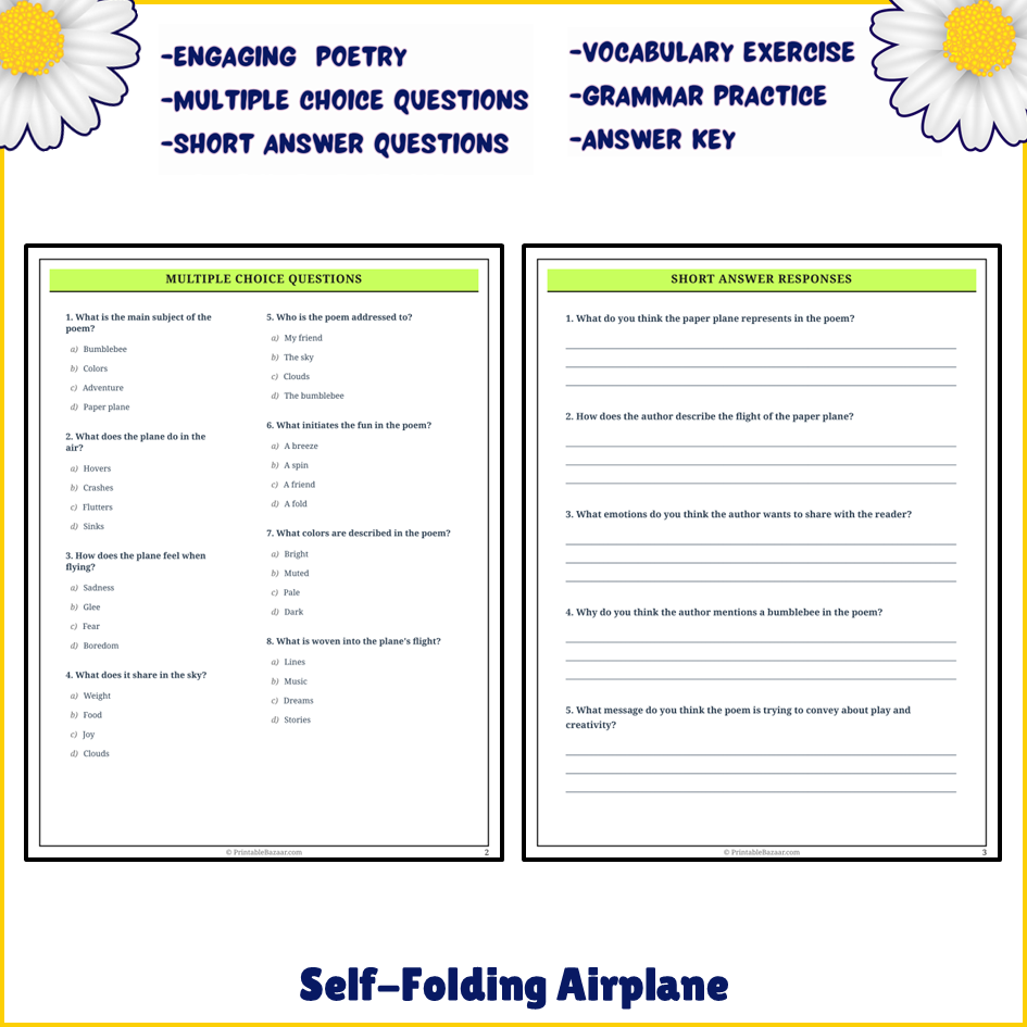 Self-Folding Airplane | Poem Grammar Worksheet Printable Activity