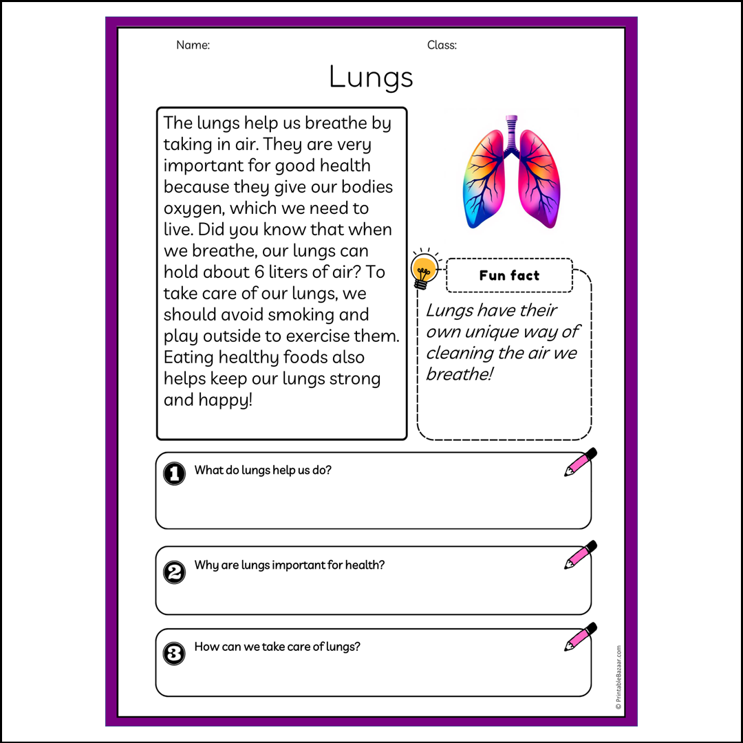 Lungs | Reading Passage Comprehension Questions Writing Facts Worksheet