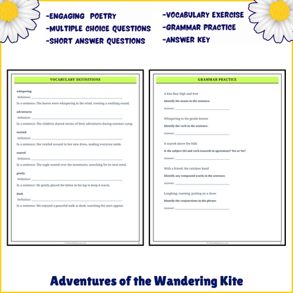 Adventures of the Wandering Kite | Poem Grammar Worksheet Printable Activity