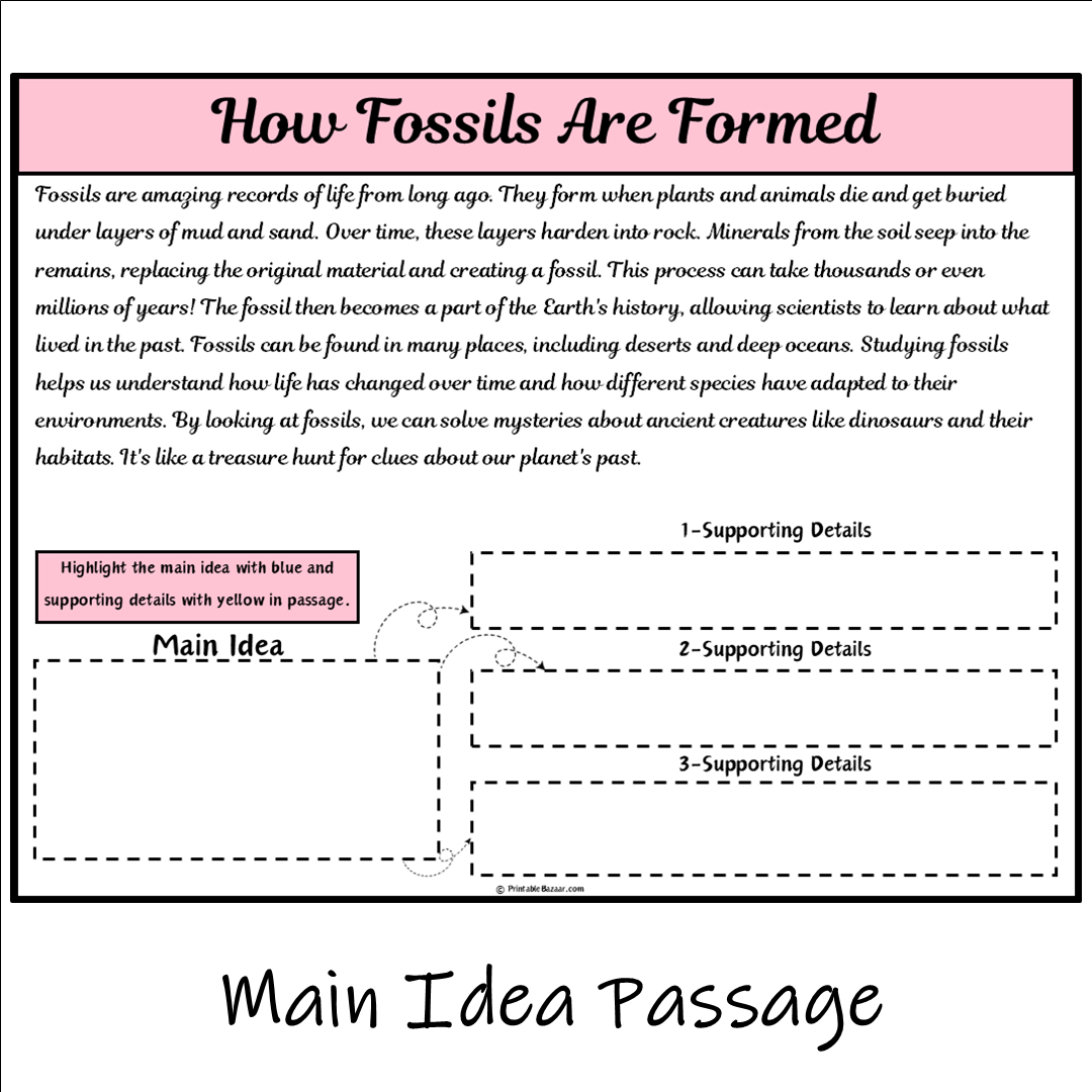 How Fossils Are Formed | Main Idea and Supporting Details Reading Passage and Questions