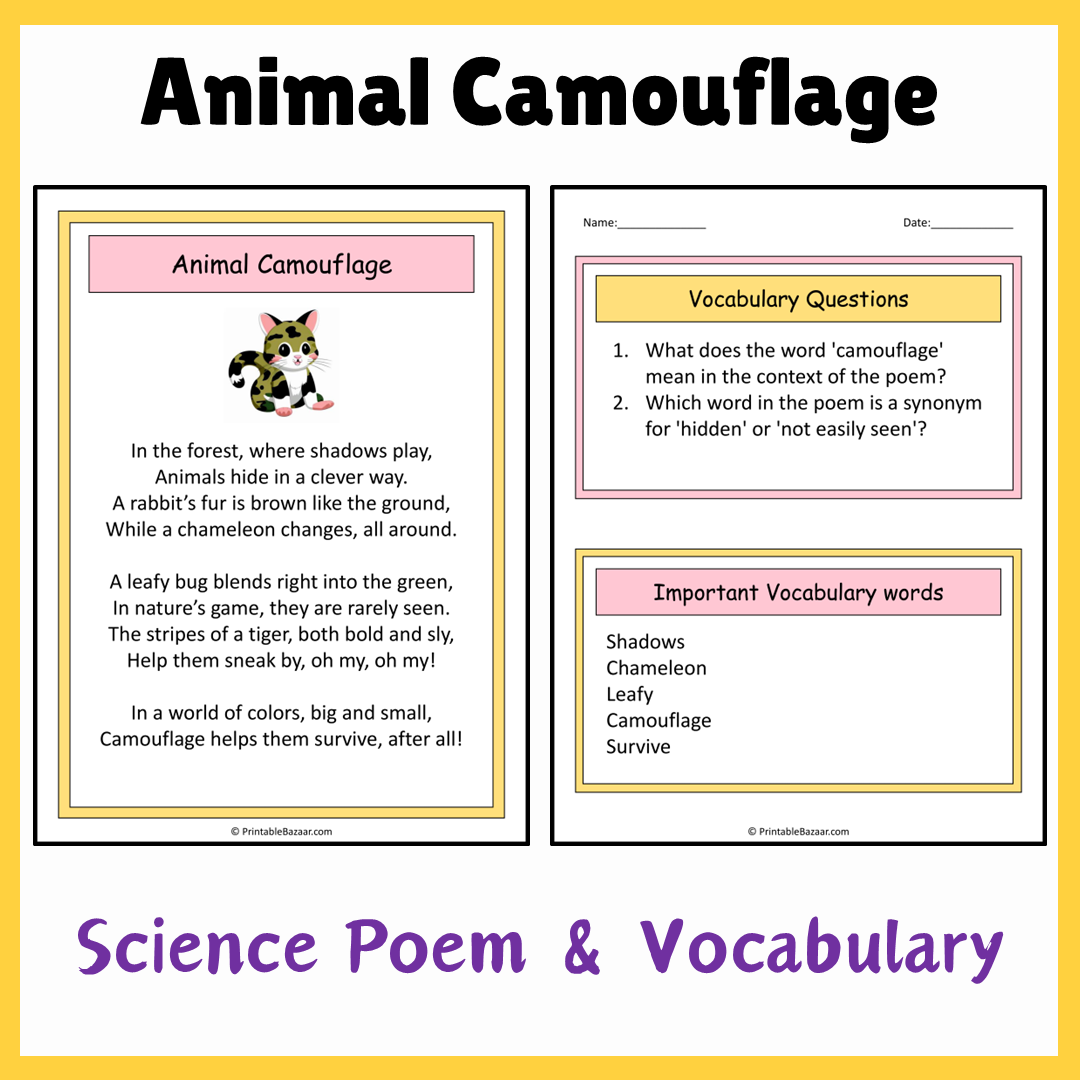 Animal Camouflage | Science Poem Reading Comprehension Activity