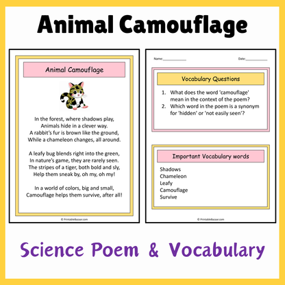 Animal Camouflage | Science Poem Reading Comprehension Activity